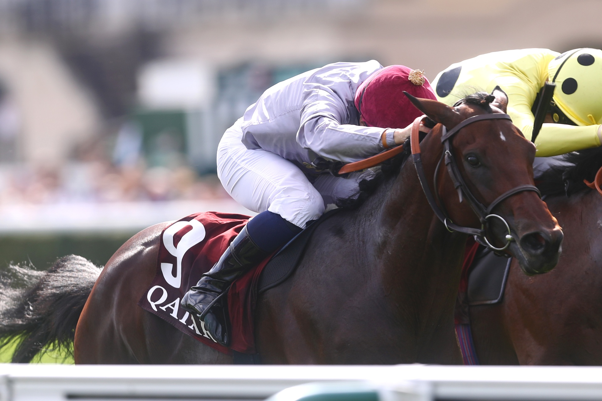 Sahlan, étalon alezan, victoire au Moulin de Longchamp