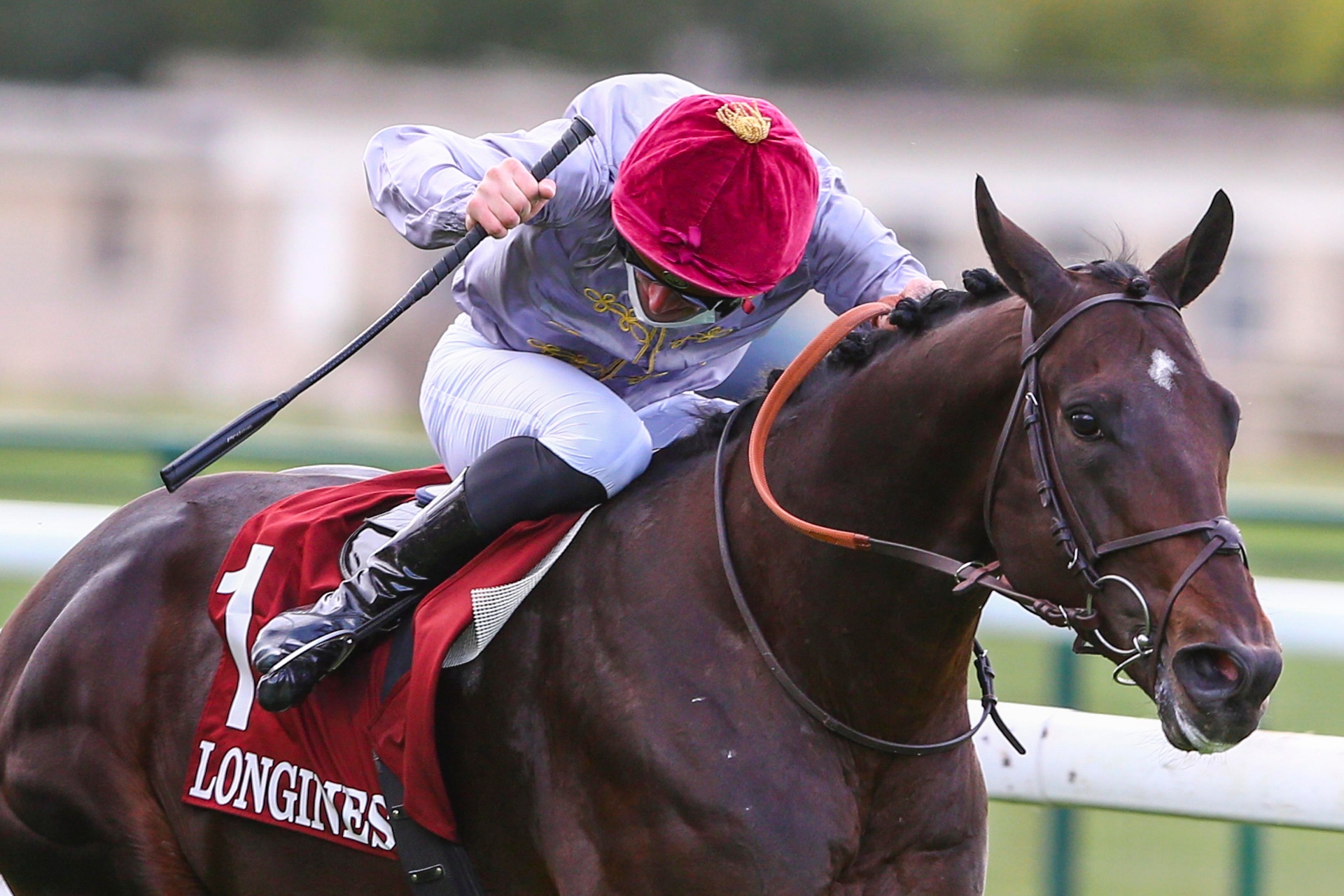 Wooded, étalon bai, sprinteur victorieux à Longchamp