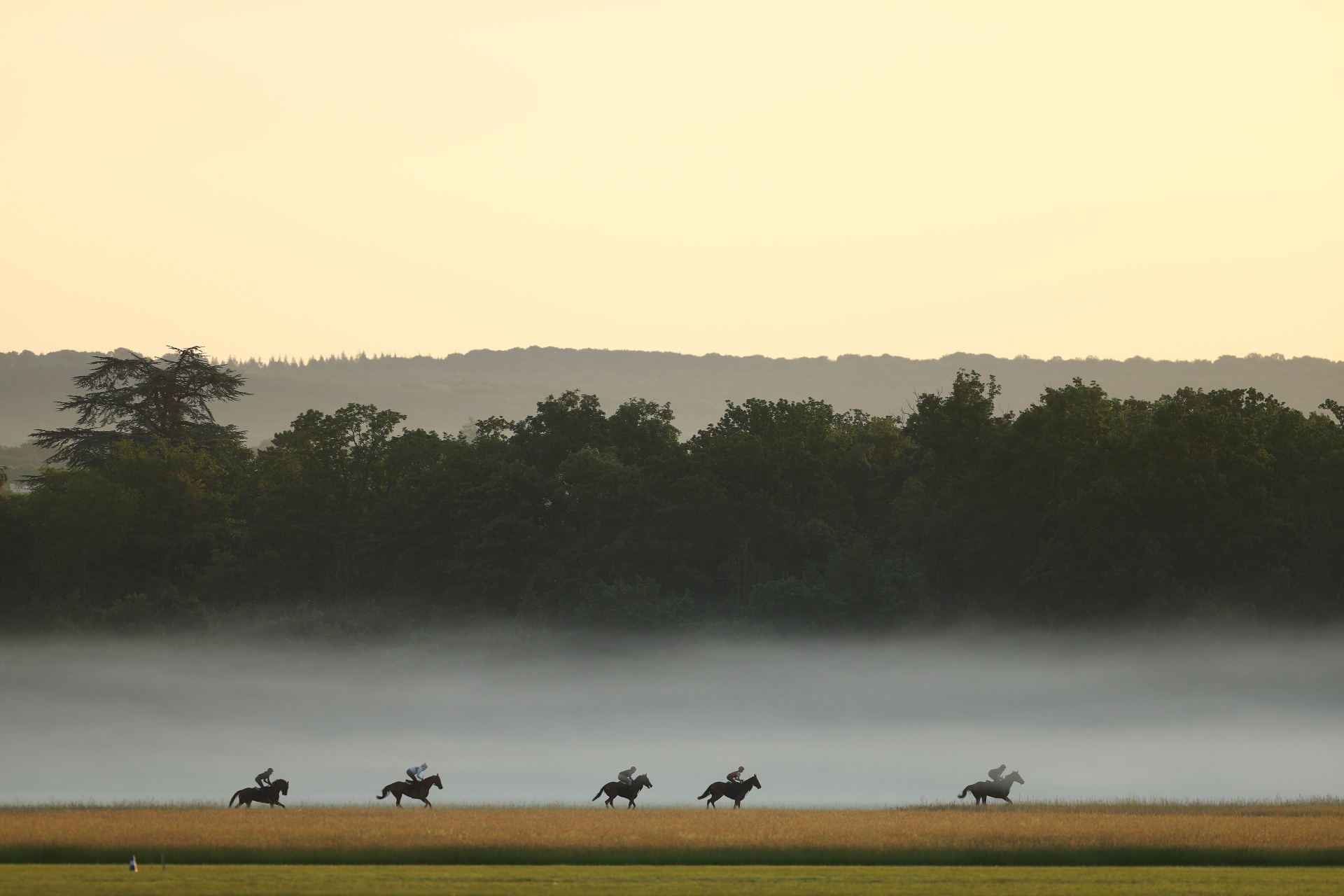Galop matinal dans la brume