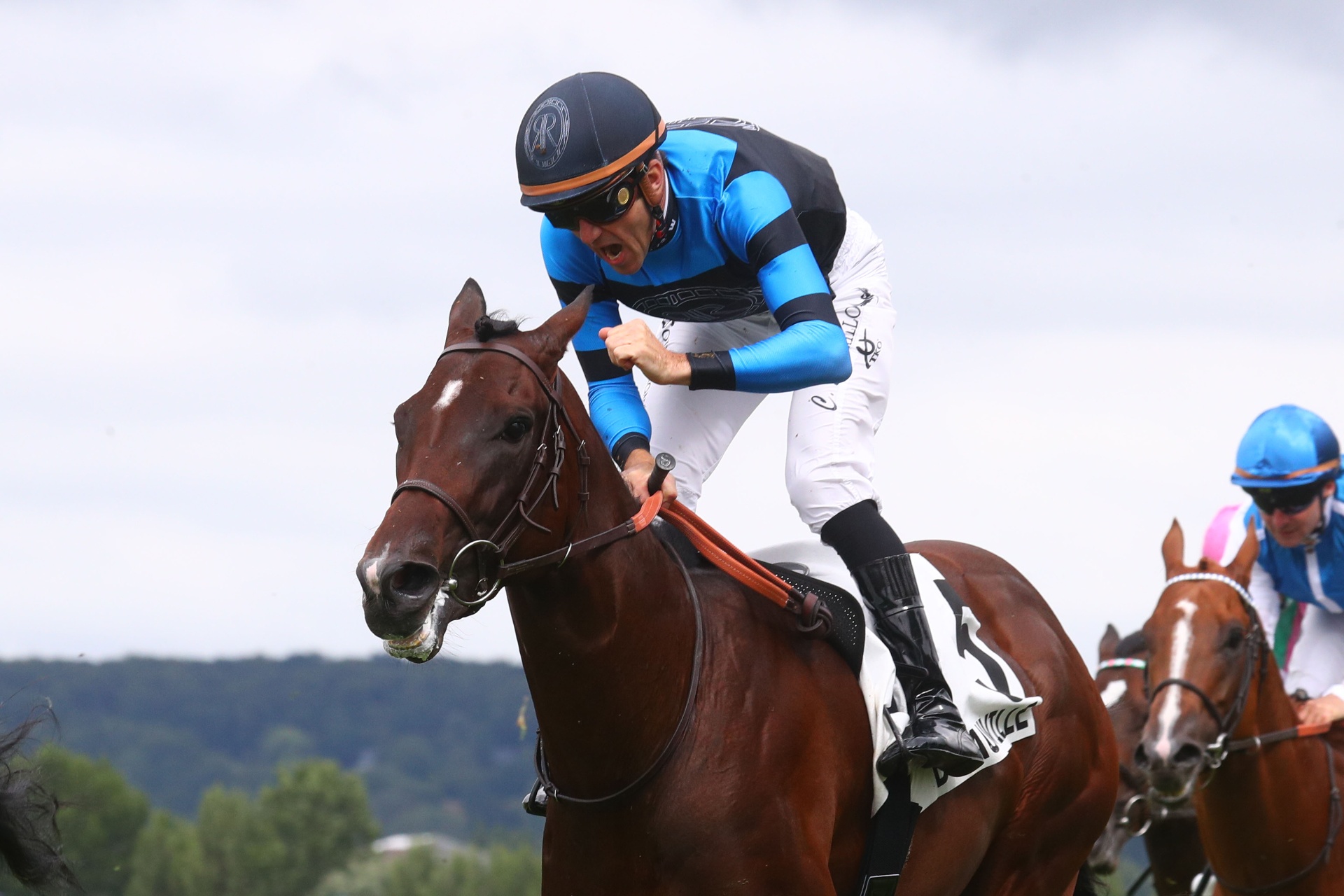 Woodshauna, cheval de course, victoire au Prix Jean Prat