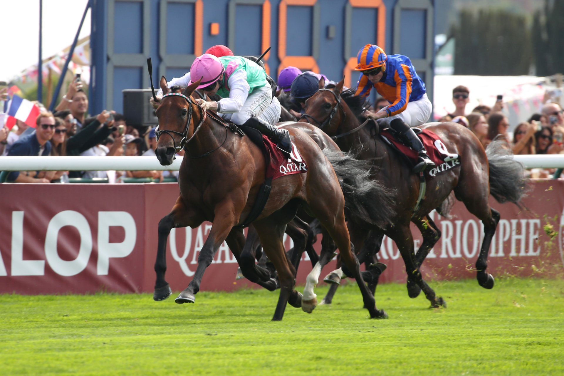Course d'action à ParisLongchamp — casaque Juddmonte