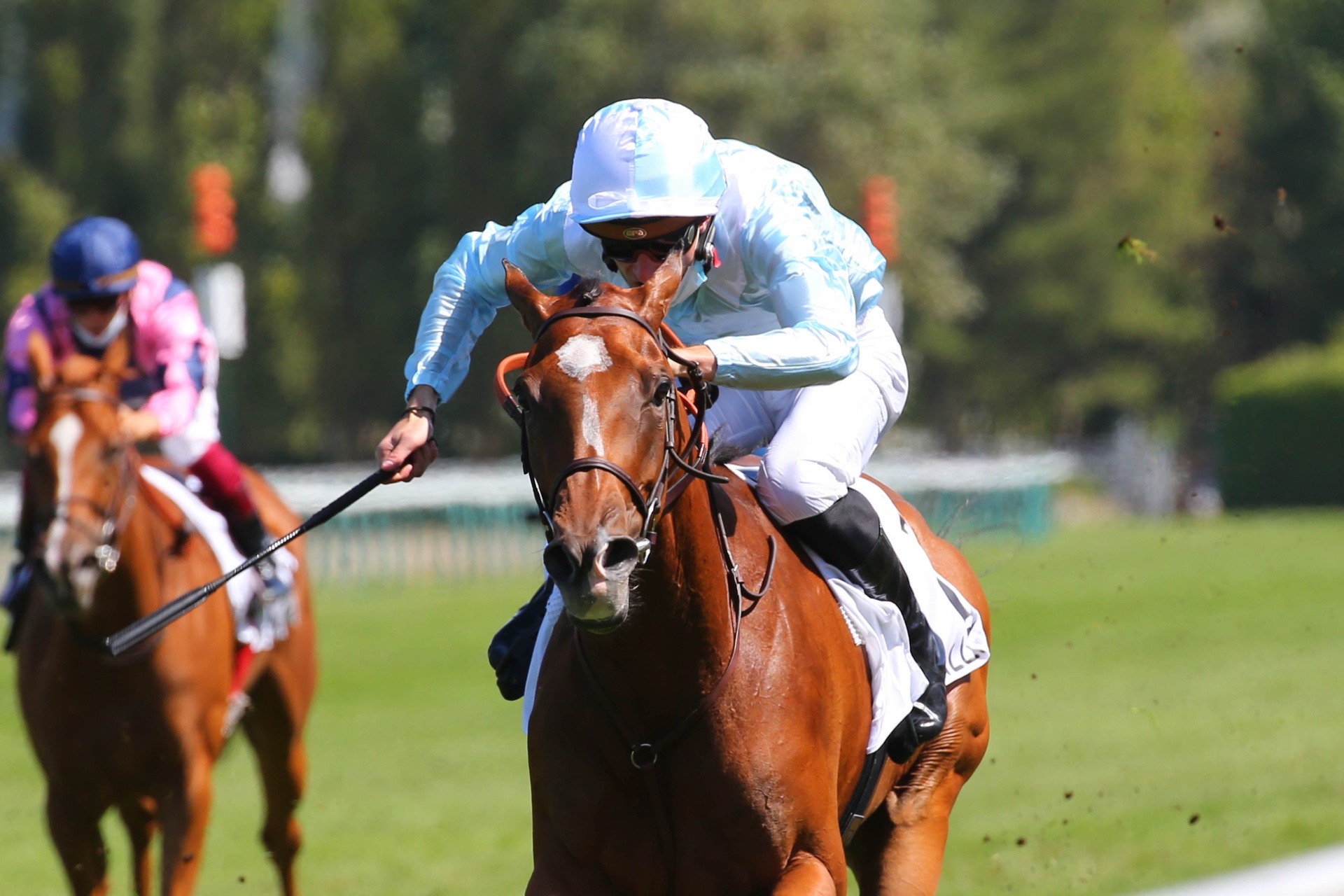 Watch Me, pouliche grise, casaque bleue Wertheimer, victoire à Royal Ascot