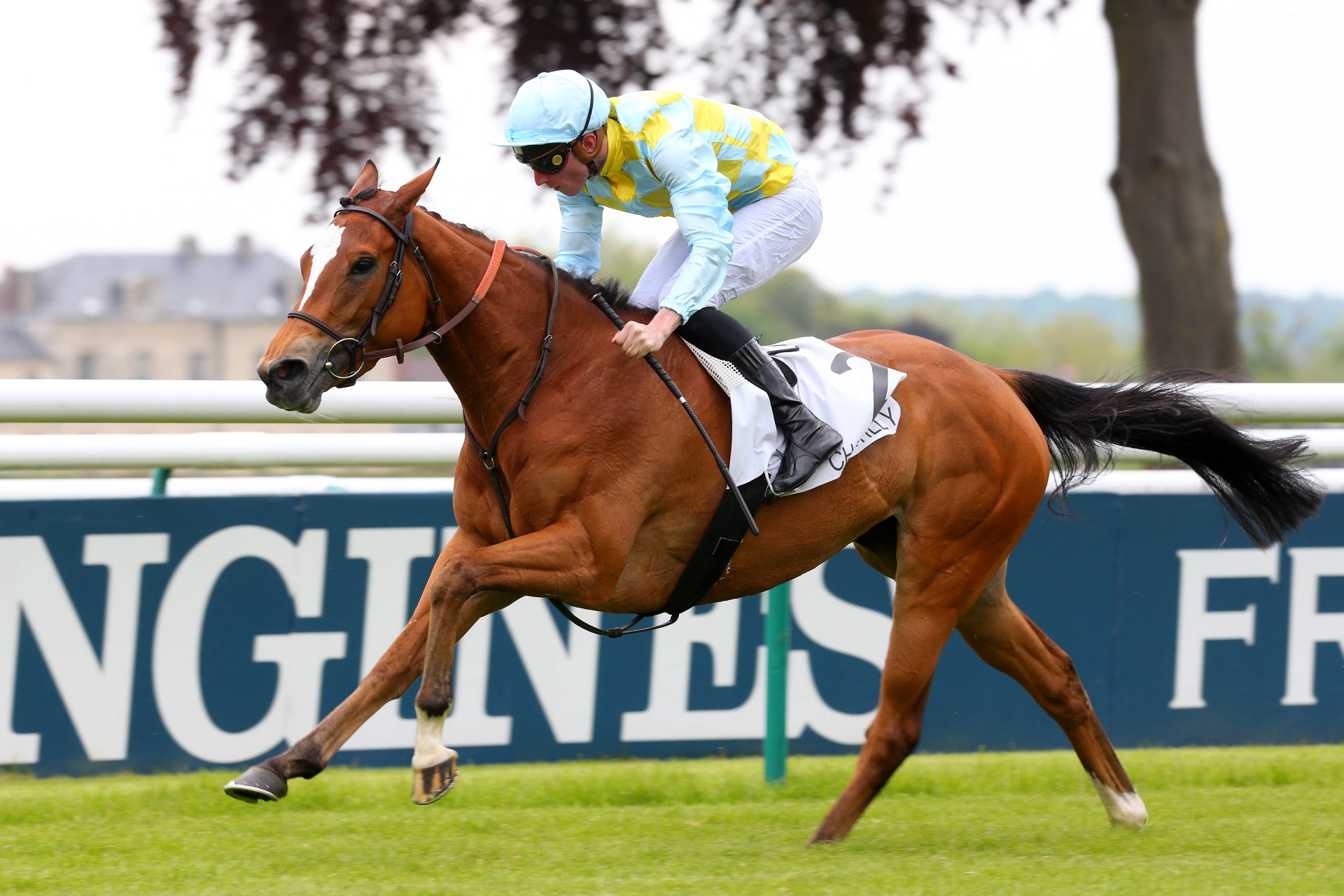 Channel, pouliche bai, victoire au Prix de Diane