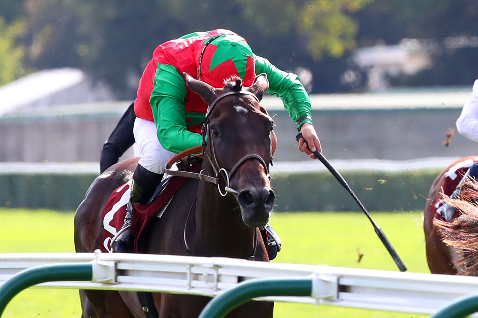 Sweet Lady, pouliche grise, victoire au Prix Vermeille