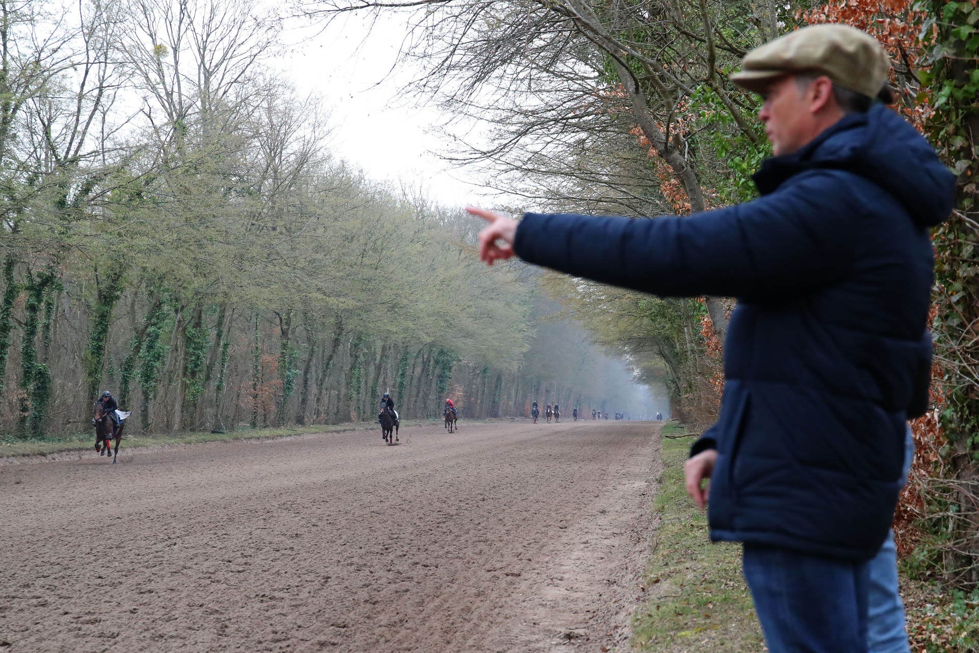 Galop du matin en forêt de Chantilly